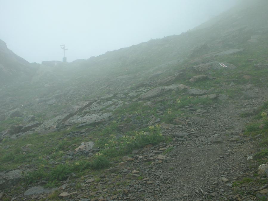 Aegertental, kurz unterhalb der Schilthornhütte