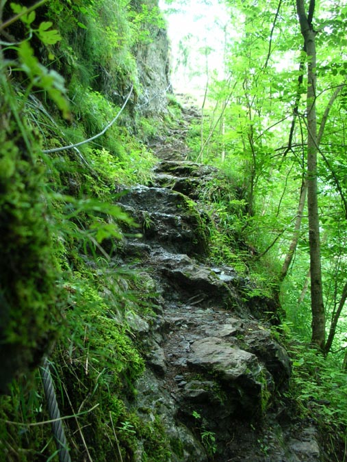 Aufstieg nach Preech (Lauterbrunnental)