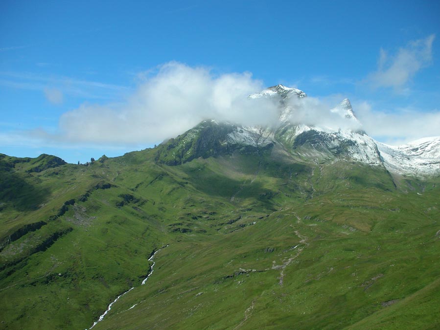 Bachalpen und Reeti