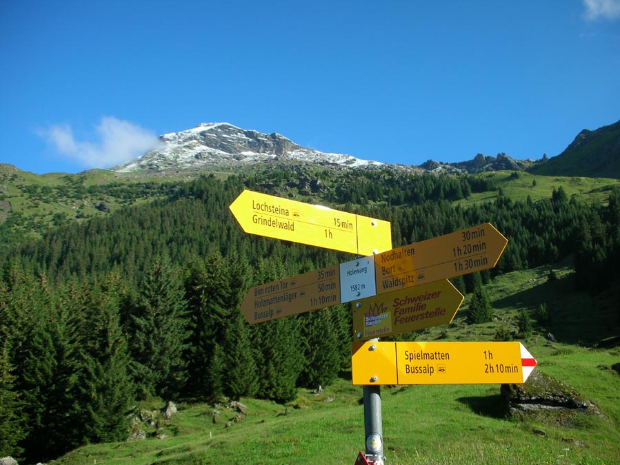 Im Aufstieg nach Spitzen, Blick auf den Reeti