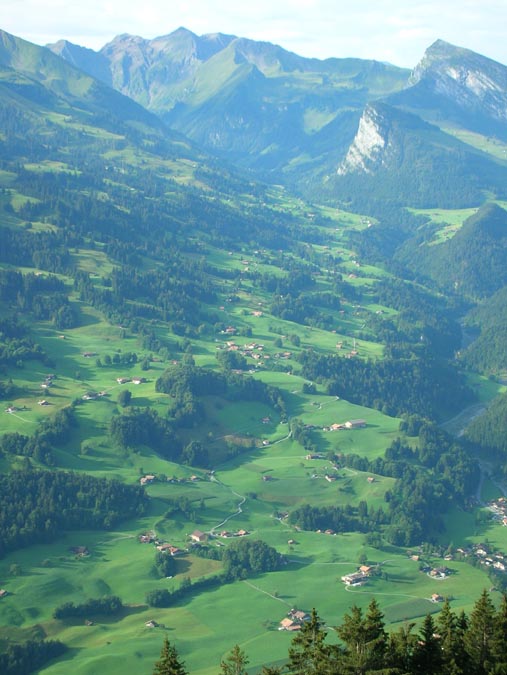 Im Aufstieg zum Heiti, Morgensonne und Dunst im Simmental