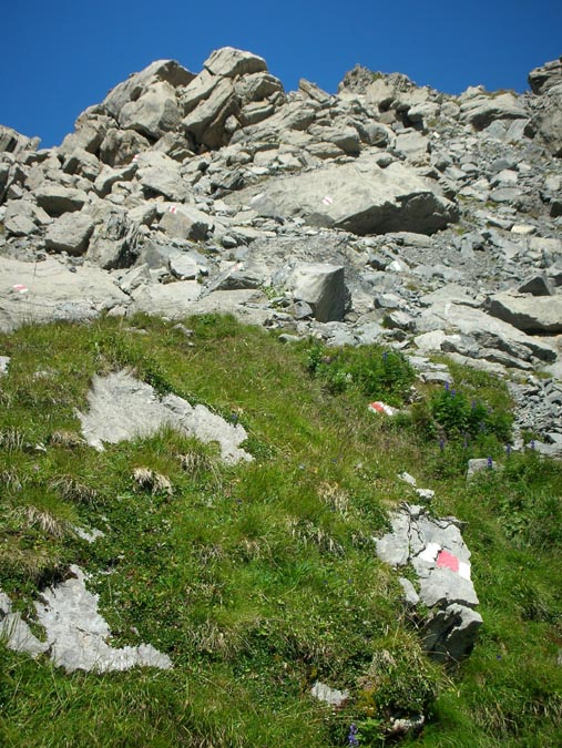 Im Aufstieg zur Rote Härd (Schilthorn)