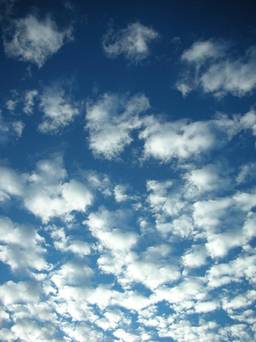 Schönwetterwolken I