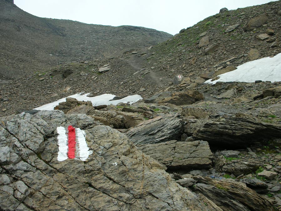 Spärliche Vegatation oberhalb 2500m