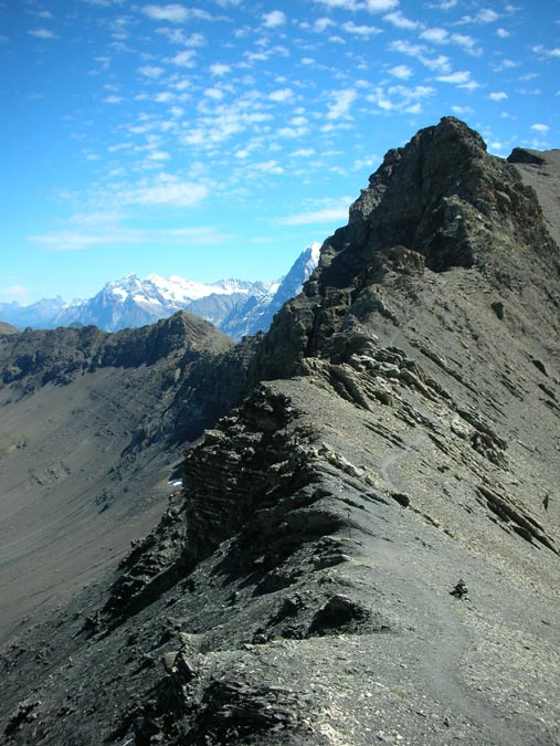 Westgrat im Schilthorn-Schlussanstieg I